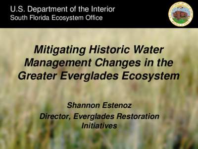 Mitigating Historic Water Management Changes in the Greater Everglades Ecosystem