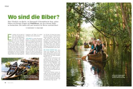 reise  Wo sind die Biber? Hier! Nördlich von Berlin, im Naturpark Uckermärkische Seen, gehen Führer mit kleinen Trupps auf Paddeltour, um die scheuen Nager zu beobachten. Die haben still und heimlich ihr Revier zurüc