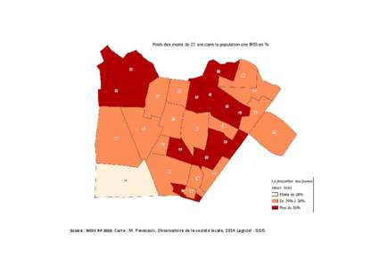 Source : INSEE RPCarte : M. Pavasovic, Observatoire de la société locale, 2014.Logiciel : QGIS.   