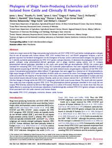 Enterobacteria / Gram-negative bacteria / Gut flora / Escherichia coli O157:H7 / Shiga toxin / Enterohemorrhagic / Intimin / Escherichia / Hemolytic-uremic syndrome / Bacteria / Microbiology / Escherichia coli