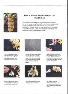 How to Make a Spiral Plumeria Lei (Double Lei) You can make your lei from all sorts of flowers and materials. For our lei, we are using Plumeria flowers. Collect medium sized flowers (Celedine flowers work well and have 