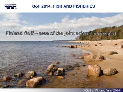 GoF 2014: FISH AND FISHERIES  «Gulf of Finland Year 2014» GoF 2014: FISH AND FISHERIES 1. Fish community changes and their causes