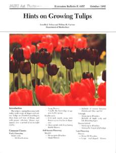 Flowers / Biology / Plant morphology / Tulip / Bulb / Species Tulips / Tulip breaking virus / Allium bisceptrum / Botany / Tulipa / Plant taxonomy