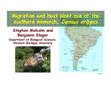 Migration and host plant use of the southern monarch, Danaus erippus Stephen Malcolm and