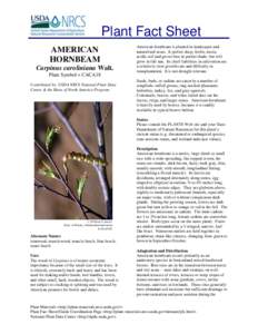 Plant Fact Sheet AMERICAN HORNBEAM Carpinus caroliniana Walt. Plant Symbol = CACA18 Contributed by: USDA NRCS National Plant Data