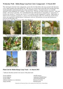 Flora of New South Wales / Lomandra / Bossiaea / Enneapogon / Cassinia / Dichanthium / Astroloma / Xanthorrhoea glauca / Asparagales / Plant taxonomy / Pomaderris