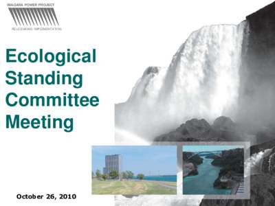 NIAGARA POWER PROJECT  RELICENSING IMPLEMENTATION Ecological Standing