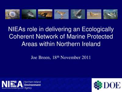 NIEAs role in delivering an Ecologically Coherent Network of Marine Protected Areas within Northern Ireland Joe Breen, 18th November 2011  CEO, John McMillen