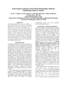 Representing Complexity in Part-Whole Relationships within the Foundational Model of Anatomy José L.V. Mejino, Jr, MD, Augusto V. Agoncillo, MD, Kurt L. Rickard, PhD and Cornelius Rosse, MD, DSc Structural Informatics G