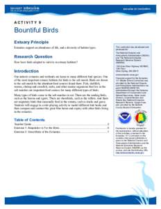 ACTIVITY 9  Bountiful Birds Estuary Principle Estuaries support an abundance of life, and a diversity of habitat types.