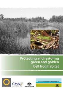 Frog / Growling Grass Frog / Amphibians of Australia / Litoria / Green and Golden Bell Frog