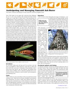 Anticipating and Managing Emerald Ash Borer Dan Gilrein, Extension Entomologist,Cornell Cooperative Extension of Suffolk County One of hot topics in our region this winter has been preparing for (or in a few cases, deali