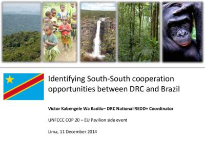 Cliquez et modifiez le titre  Identifying South-South cooperation opportunities between DRC and Brazil Victor Kabengele Wa Kadilu– DRC National REDD+ Coordinator UNFCCC COP 20 – EU Pavilion side event