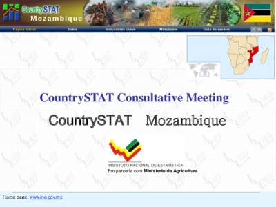 INSTITUTO NACIONAL DE ESTATÍSTICA  CountrySTAT Consultative Meeting CountrySTAT Mozambique