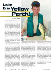 by Jerry Bush Do you long for fishing that’s simple, fruitful and relaxing? If so, Lake Erie has a perch fishery waiting for you! Jumbo yellow perch are abundant there in June and July. The Commission’s 2004 Annual L