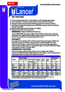 NEW  New South Wales & Queensland Lancer LongReach