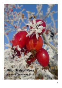 Milton Malsor News Issue 43 Christmas[removed]  Milton Malsor Parish Council