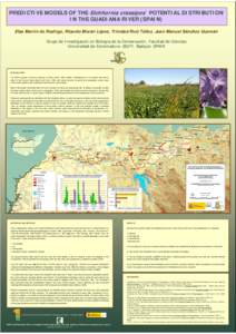 PREDICTIVE MODELS OF THE Eichhornia crassipes´ POTENTIAL DISTRIBUTION IN THE GUADIANA RIVER (SPAIN) Elsa Martín de Rodrigo, Ricardo Morán López, Trinidad Ruiz Téllez, Juan Manuel Sánchez Guzmán Grupo de Investigac