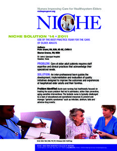 Nurses Improving Care for Healthsystem Elders nicheprogram.org NICHE SOLUTION #14 • 2011 USE OF THE BEST PRACTICE TEAM FOR THE CARE OF OLDER ADULTS