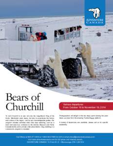 Bears of Churchill To visit Churchill is to see not only the magnificent King of the Arctic, Manitoba’s polar bears, but also to experience the history and culture of the region. Led by very knowledgeable guides, this 