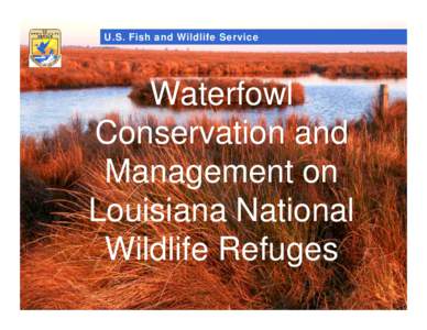 Catahoula National Wildlife Refuge / Blackbeard Island National Wildlife Refuge / Geography of the United States / Protected areas of the United States / National Wildlife Refuge