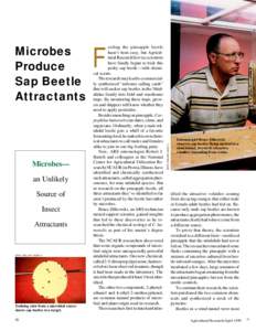Microbes— an Unlikely Source of Insect Attractants