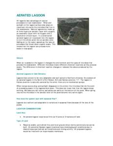 Microsoft Word - Aerated Lagoon Handout_03.doc