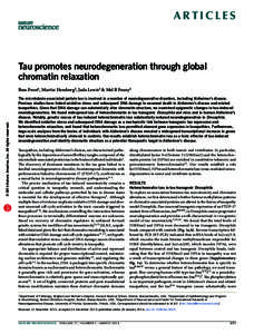 Epigenetics / RNA / Gene expression / Heterochromatin / RNA interference / Drosophila melanogaster / Chromatin / Gene silencing / Euchromatin / Biology / Genetics / Molecular genetics