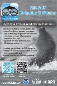 SEE & ID Dolphins & Whales Identify & Protect Wild Marine Mammals Use the electronic �ield guide to: • Identify dolphins, whales, manatees, and seals using images and descriptions;