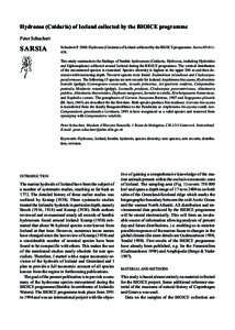 Phyla / Zoology / Cnidarians / Gonophore / Hydrozoa / Bougainvilliidae / Obelia / Pandeidae / Campanulariidae / Leptomedusae / Anthomedusae / Taxonomy