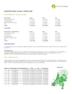 ELEKTRICITEIT & GAS 3 JAAR VAST ELEKTRICITEIT - Kosten per kWh  Elektriciteit