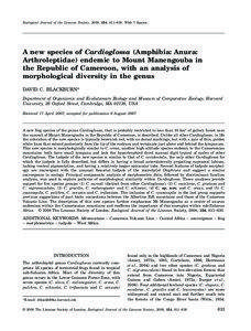 A new species of Cardioglossa (Amphibia: Anura: Arthroleptidae) endemic to Mount Manengouba in the Republic of Cameroon, with an analysis of morphological diversity in the genus