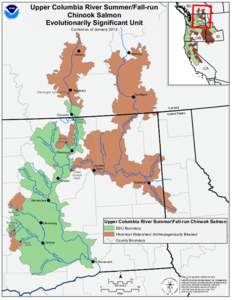 Upper Columbia River Summer/Fall-run Chinook Salmon Evolutionarily Significant Unit BC WA