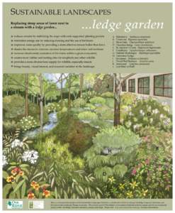 Sustainable landscapes: ledge garden