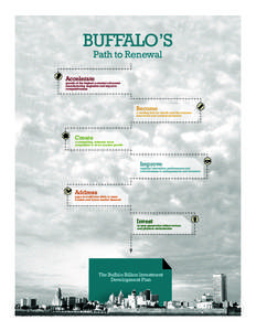 BUFFALO’S Path to Renewal Accelerate  growth of the highest potential advanced