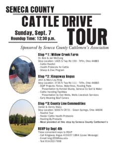 SENECA COUNTY  CATTLE DRIVE Sunday, Sept. 7