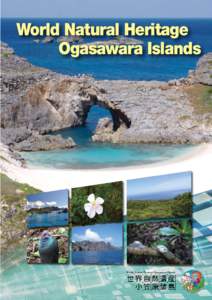 Coral reefs / Asia / Haha-jima / Chichi-jima / Mandarina / Tokyo / Minamitorishima / Okinotorishima / Japanese Wood Pigeon / Geography of Japan / Bonin Islands / Geography of Asia