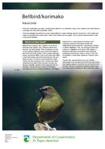 Bellbird / korimako: conservation revealed: publications