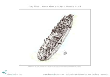 Fury Shoals, Marsa Alam, Red Sea - Tienstin Wreck  © Rik Vercoe - the author authorises you to print this map for use in your diving but not for publishing in print or online. divesitedirectory