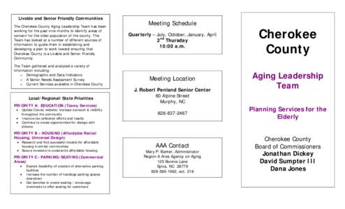 Planning for Aging Services