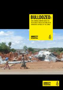 Forrest Group / Luiswishi Mine / Amnesty International / House demolition / National security / Peace / Crime / Collective punishment / Counter-insurgency / Katanga