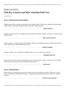 Microsoft Word - FieldKey-FieldCorn.doc