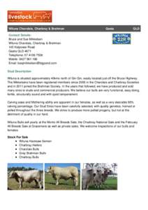 Wiluna Charolais, Charbray & Brahman  Gaeta QLD