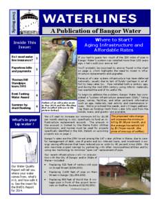 Drinking water / Fire hydrant / Street furniture / Bangor /  Maine / Thomas Hill Standpipe / Bangor /  Gwynedd / Tap water / Pipe / Bangor /  County Down / Water supply / Water industry / Water