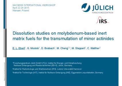 SACSESS INTERNATIONAL WORKSHOP AprilWarsaw, Poland Dissolution studies on molybdenum-based inert matrix fuels for the transmutation of minor actinides