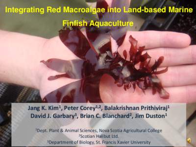 Integrating Red Macroalgae into Land-based Marine Finfish Aquaculture Jang K. Kim1, Peter Corey1,2, Balakrishnan Prithiviraj1 David J. Garbary3, Brian C. Blanchard2, Jim Duston1 1Dept.