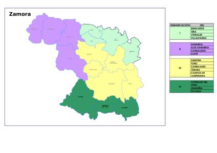 Mapa del S.T. de Zamora Modificado por la D_GRAL_ 29_05_12x