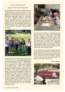 E  In der Kastanienselve Ausflug des Frauentreffs im Oktober 2011 Bei strahlendem Wetter treffen wir Alt-Zunftmeister Gerhard Schmid in Mörel beim Brunnen vor der