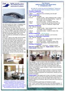 Whale / Humpback whale / Telephone numbers in Tonga / Zoology / Water / Biology / Baleen whales / Whale watching / Whaling