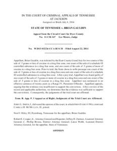 IN THE COURT OF CRIMINAL APPEALS OF TENNESSEE AT JACKSON Assigned on Briefs July 8, 2014 STATE OF TENNESSEE v. BRIAN GAULDIN Appeal from the Circuit Court for Dyer County